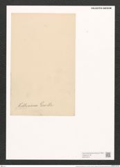 Campylodiscus kittonianus Grev. (de-Toni-Nr.: Genus 57, Species 2510) Zeichnungen Sammlung Grunow (NHMW-BOT-W0373274)